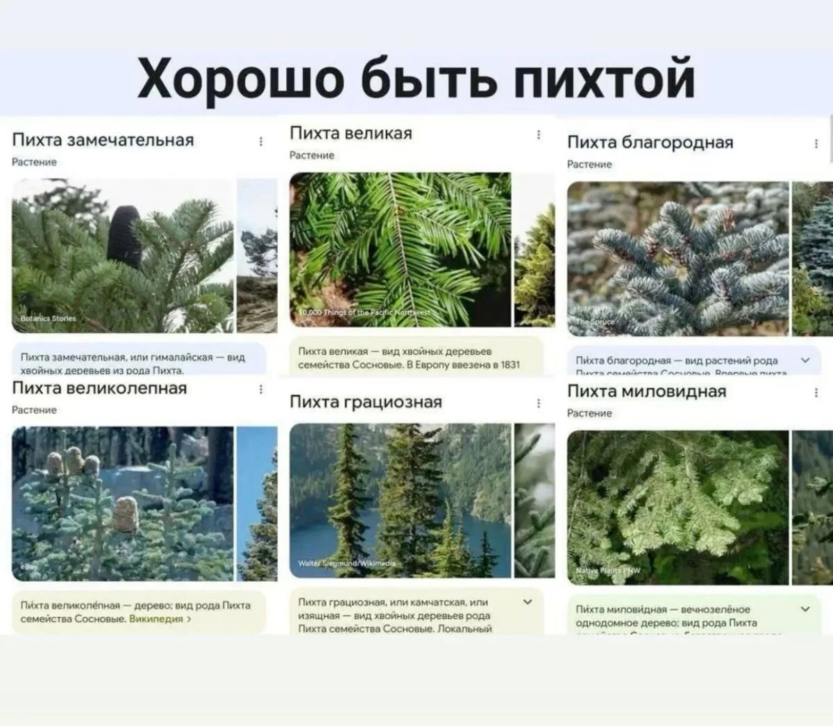 😂🌱

ПР | Про Растения