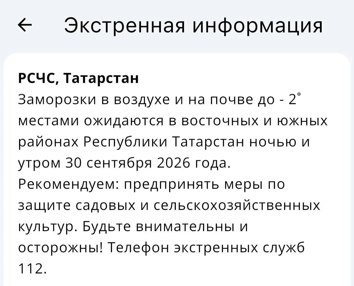 🥶МЧС предупреждает о заморозках в ближайшую ночь
