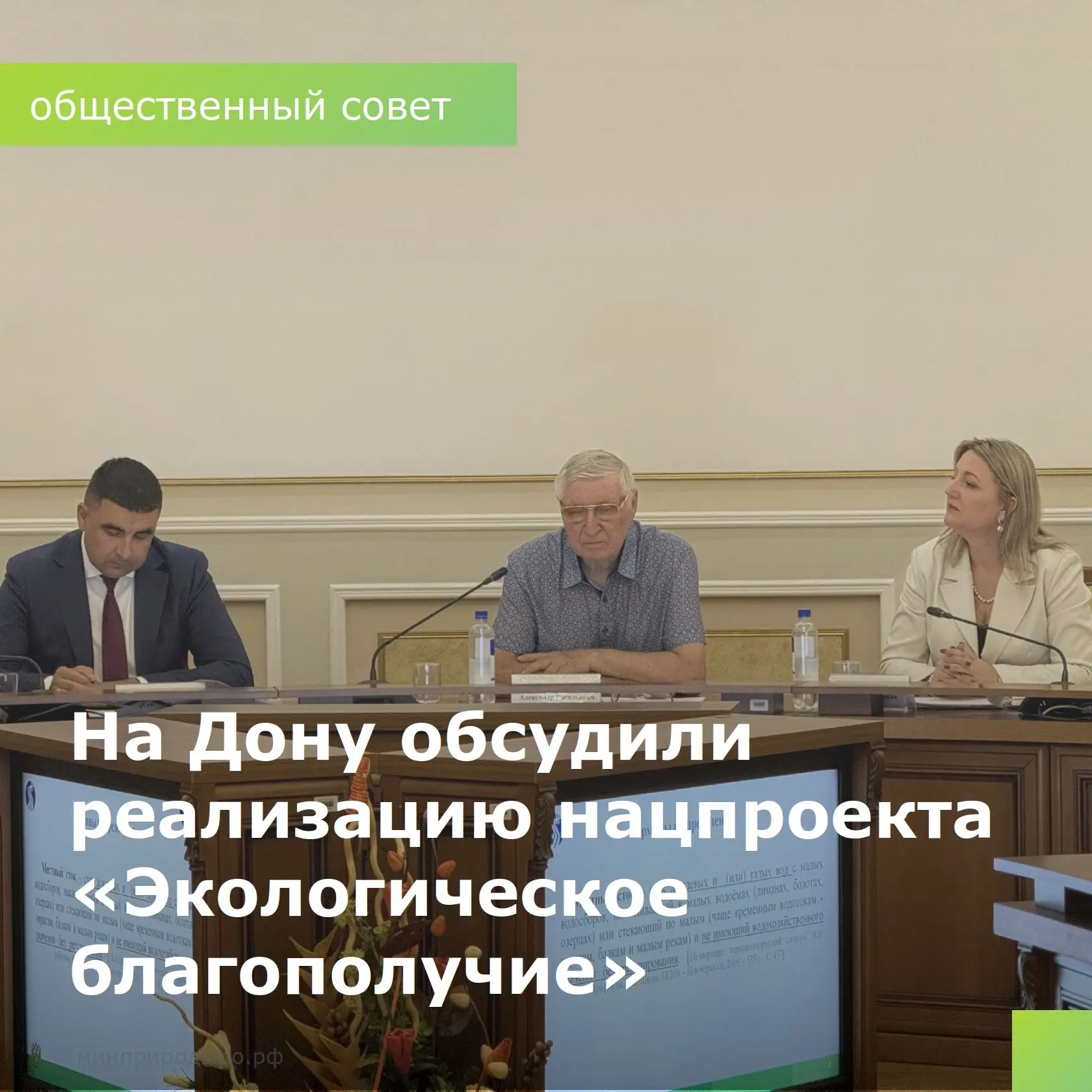 Состоялось заседание общественного совета при министерстве природных ресурсов и экологии Ростовской 
