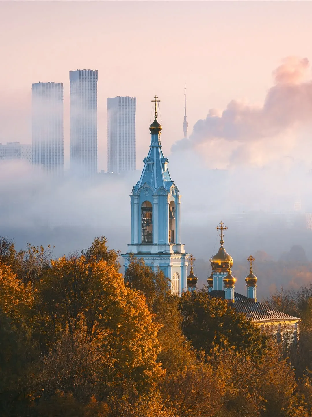 😌 До +17°С потеплеет сегодня в Московском регионе, — синоптики.