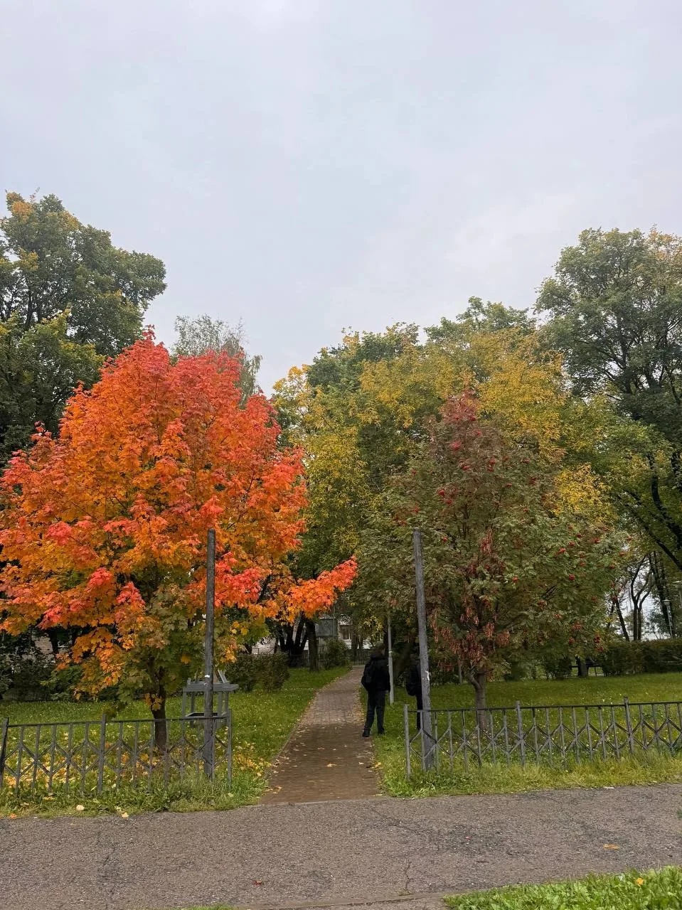 Местами в Перми уже разноцветные деревья. 🍁
