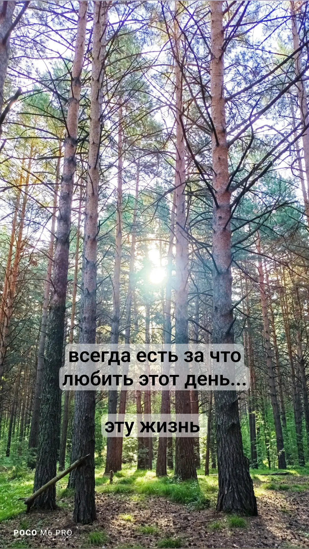 С улыбкой и теплом к вашему настоящему Я ❤️