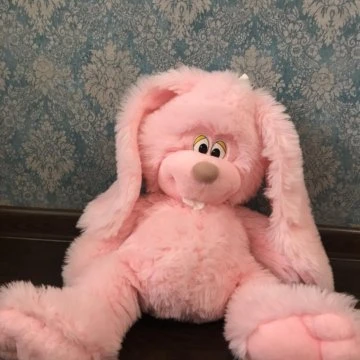 Музей ищет мягкие игрушки для арт-объекта.