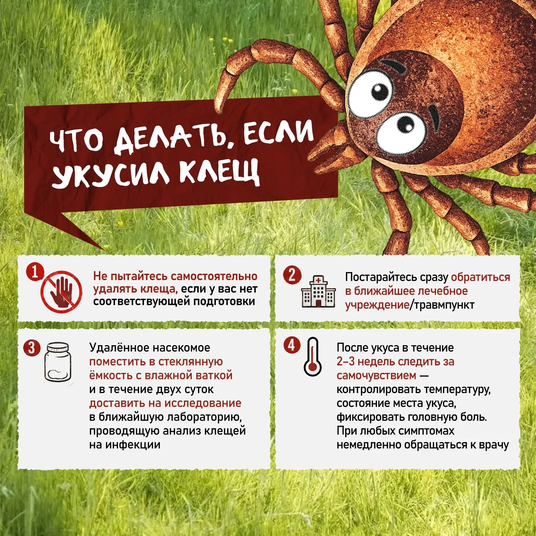 Клещи уже вышли на охоту
