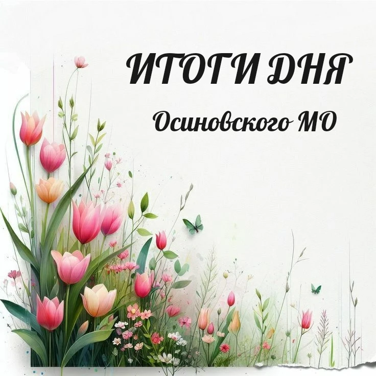 Итоги дня в Осиновском МО, Пятница, 28 августа 2026 года