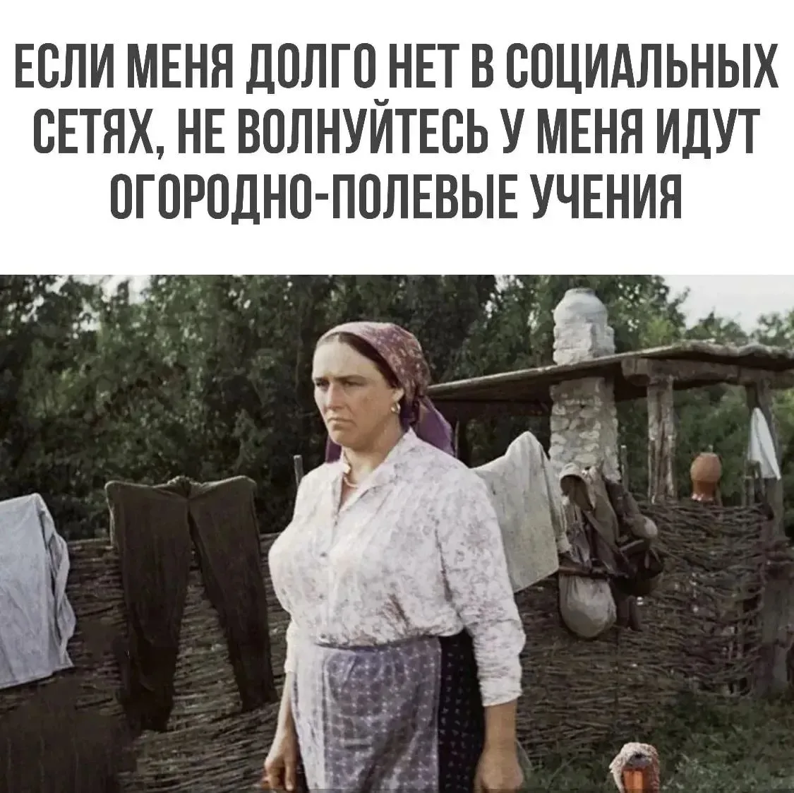 Изображение 1 к публикации «Сад - Дача - Огород»