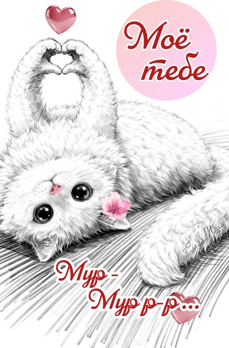 МИР ПОЗИТИВА 🤩 ОТКРЫТКИ!