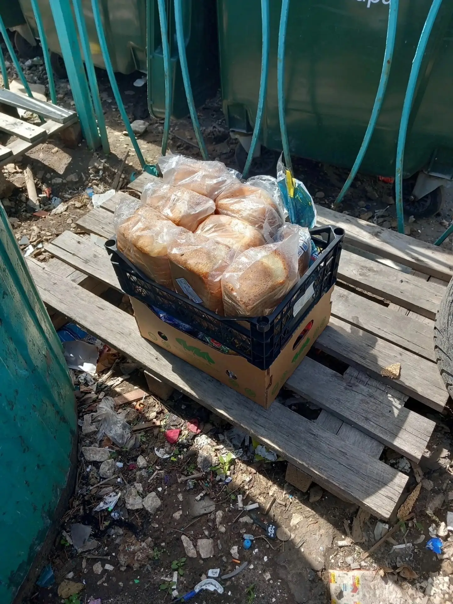 Наблюдала такую картину. Не знаю, какую реакцию вызывает у многих. Но у меня ком к горл...