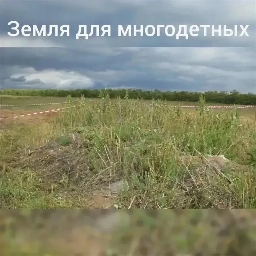 Власти Тукаевского района передали Набережным Челнам 3815 земельных участков для многодетных семей

