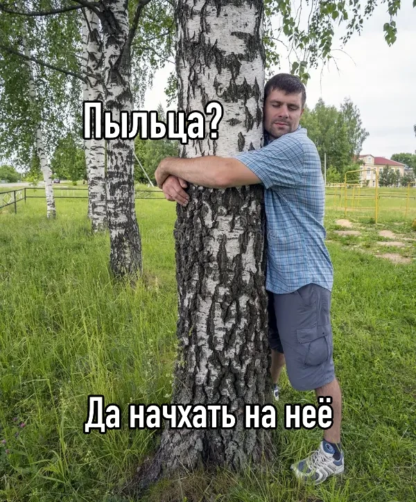 Аллергию на пыльцу берёзы официально победили — Минздрав зарегистрировал вакцину «Аллер...