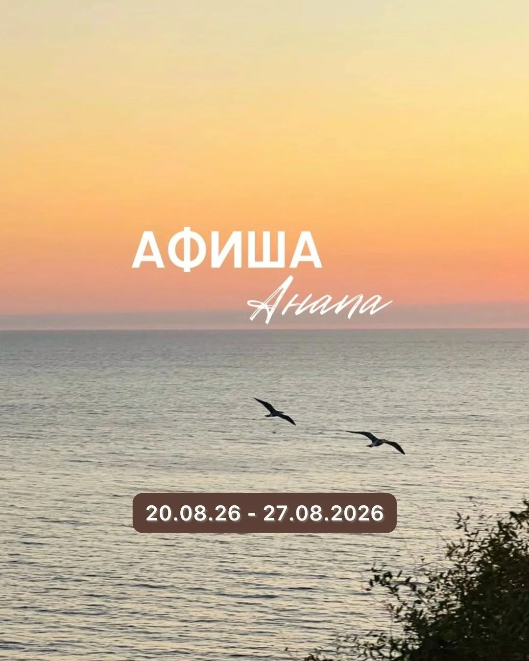 🎤 Афиша мероприятий на ближайшее время