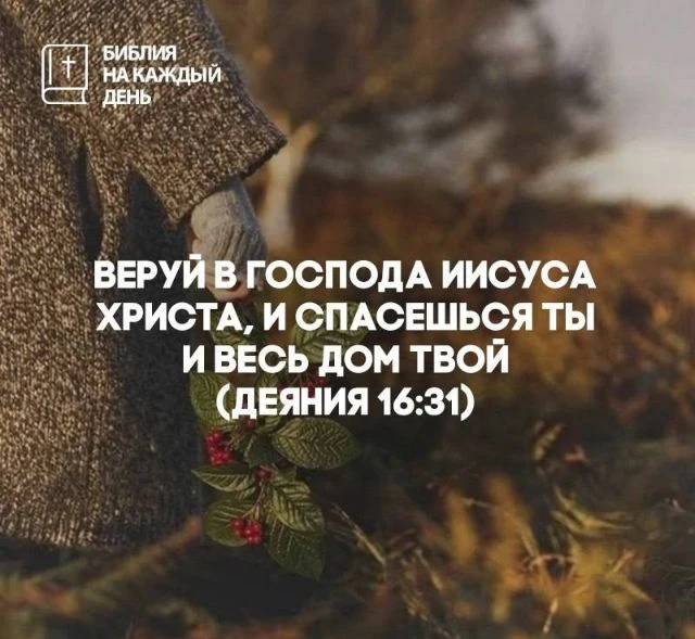 веруй в Господа Иисуса Христа, и спасешься ты и весь дом твой.