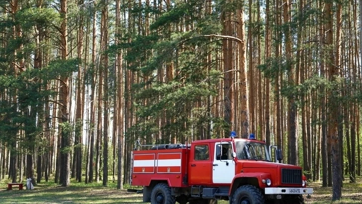По данным ФГБУ «Верхне-Волжское УГМС», на территории Нижнего Новгорода и Нижегородской ...