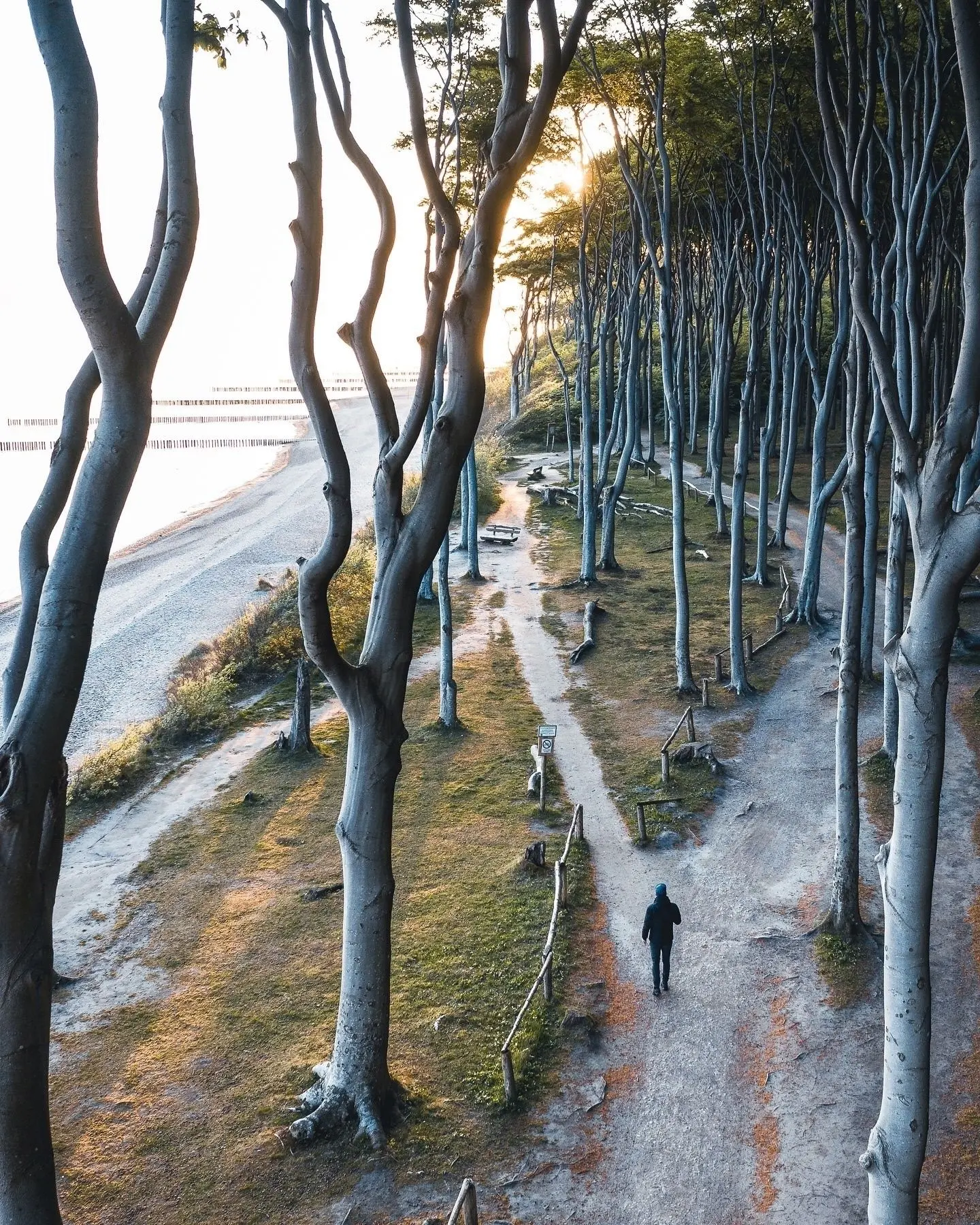 Место на Балтийском побережье, о котором знают немногие 🌊🌳