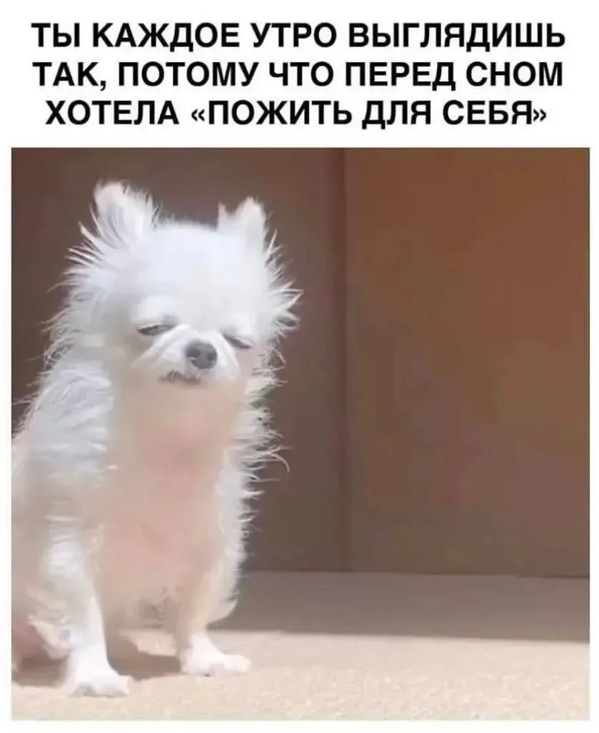 Про pH шампуня

1️⃣Шампуни для домашнего использования обычно имеют физиологичный pH в диапазоне 5,0