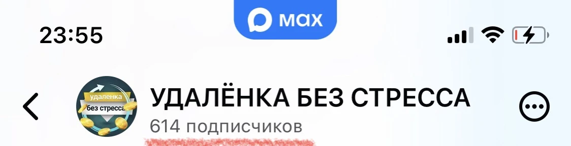 Пока кто-то думает, Наталья из Сочи делает 👨‍💻

Минимум усилий и более 600 подписчиков в ее MAX-ка