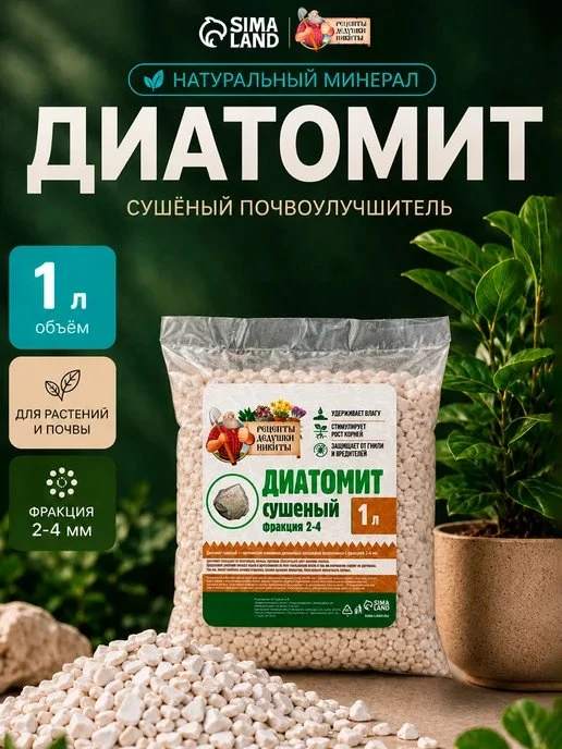 🔥 ЦЕНА РУХНУЛА НА 59%!