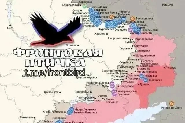 ⚠️Харьковское направление. Оперативная. 30.07