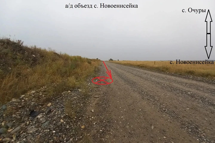 ❗️Возле Новоенисейки женщины выпрыгнула из движущейся «Хонды»