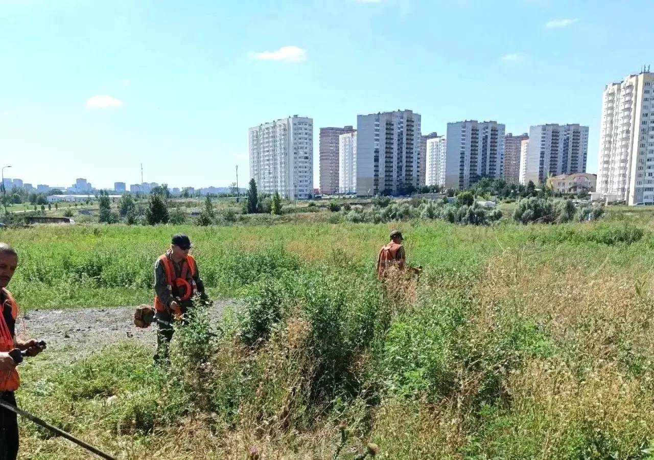 В Ростове продолжается покос сорной растительности.
 
Работы проводятся в соответствии с заключенным