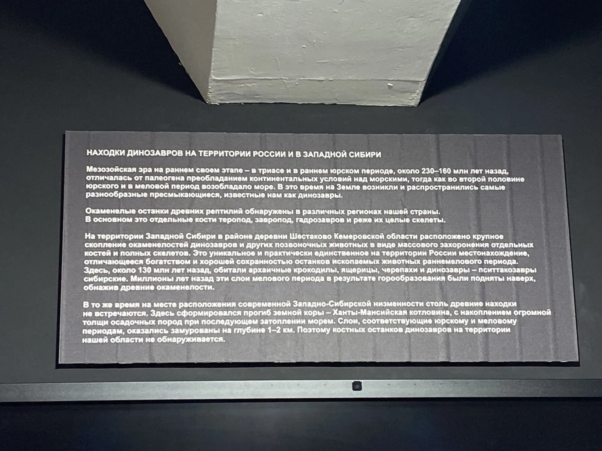 🦖 В Краеведческом музее появился новый обитатель - пситтакозавр сибирский.