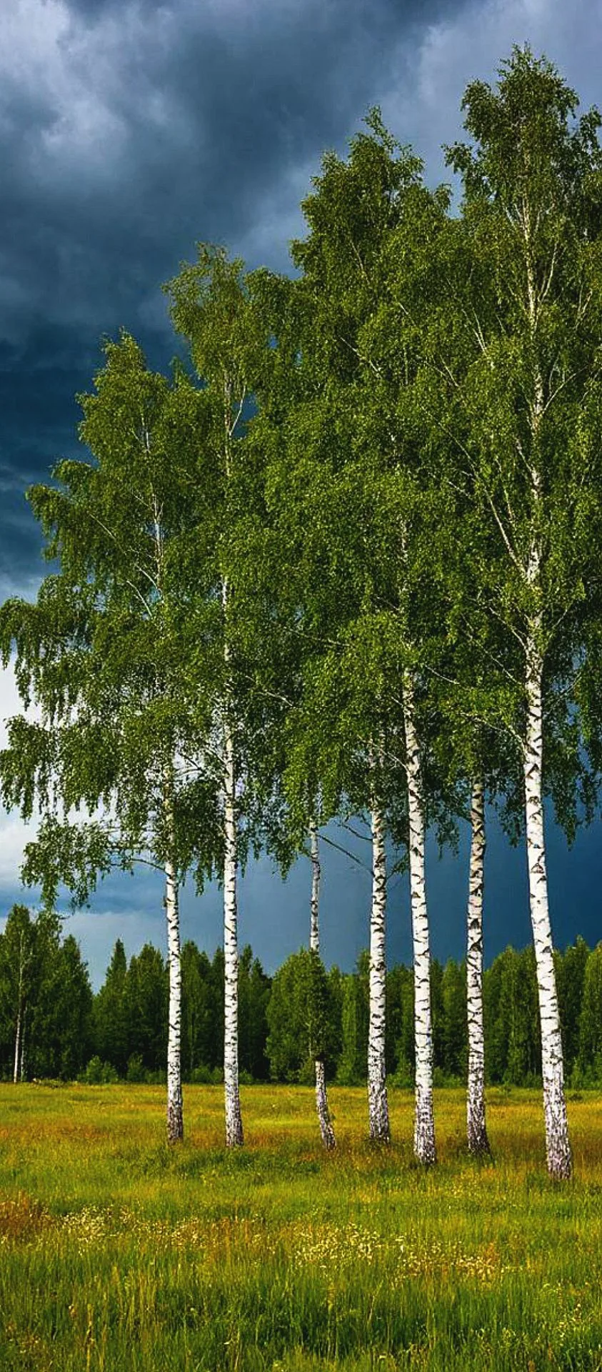 https://vk.ru/wall-168102950_19348