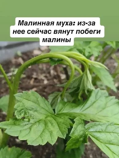 Вопрос от подписчицы📩: