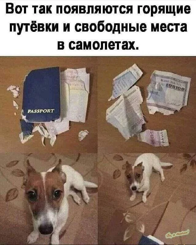 😁😁😁