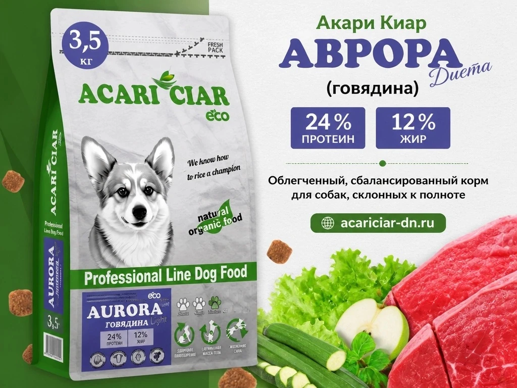 Авроры много не бывает 😁