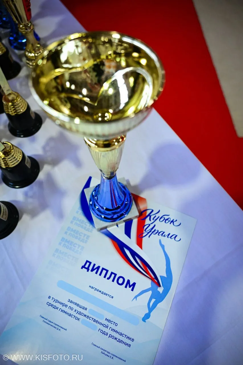 Турнир по художественной гимнастике "Кубок Урала" Н.Тагил 24-25 апреля 2026г.