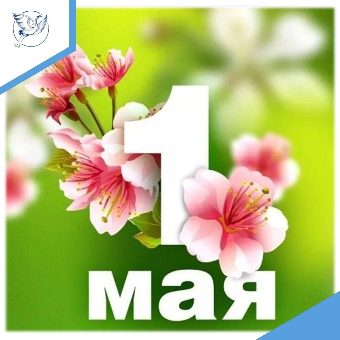 Коллектив Центра поздравляет с Праздником Весны и Труда — 1 Мая!
Желаем вам успехов в вашем любимом 