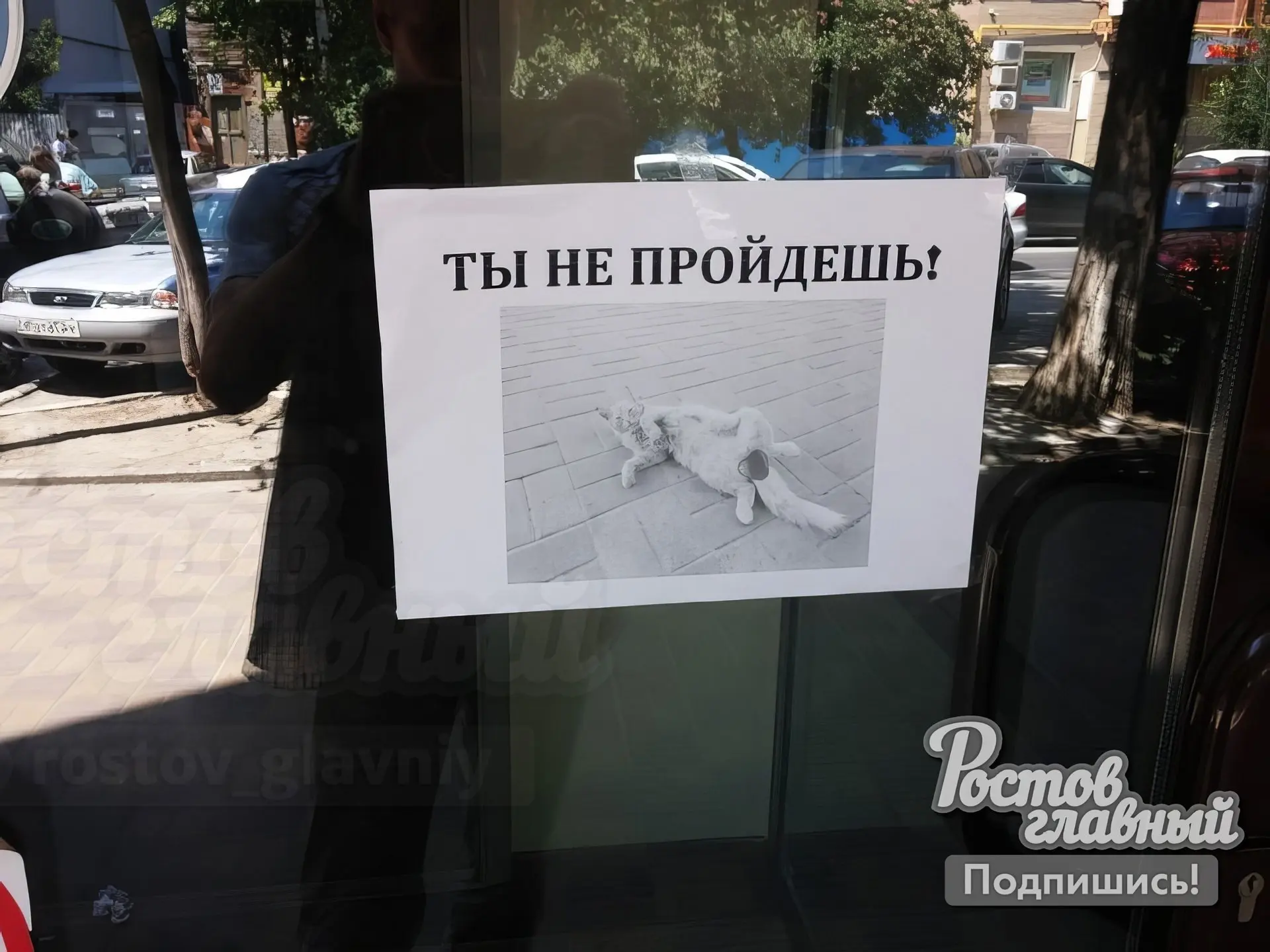 На Соколова ввели санкции против рыжего 😼


😆

Подписаться на нас