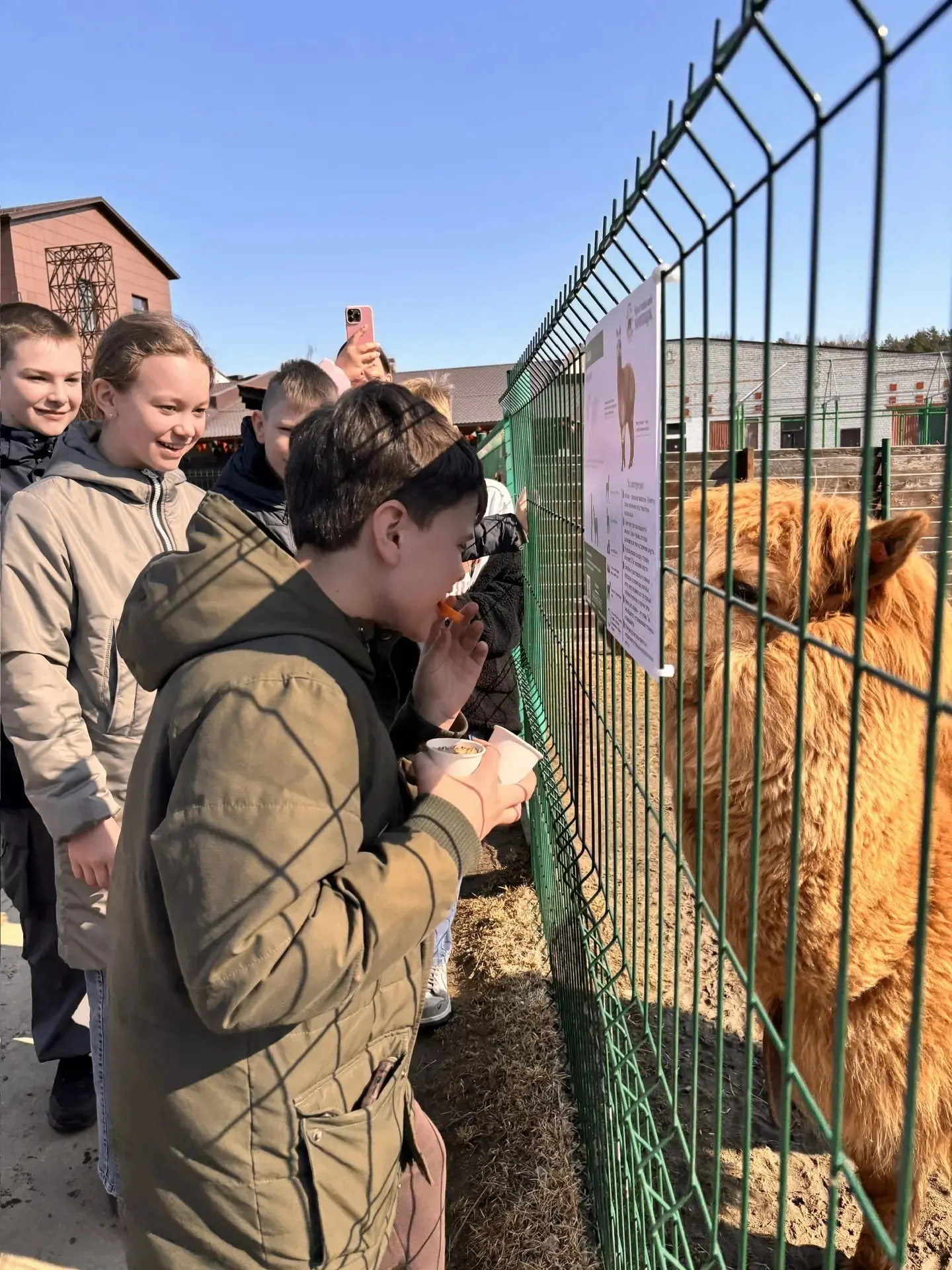 🦁Живая природа рядом: 5 Г в Ярославском зоопарке  Продолжая путешествие, 5 Г класс отправился в Ярос