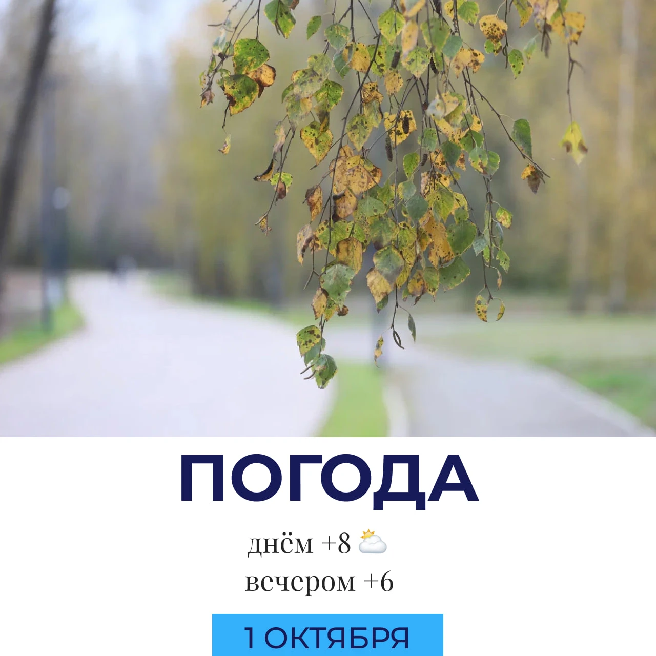 ⛅️ Погода сегодня