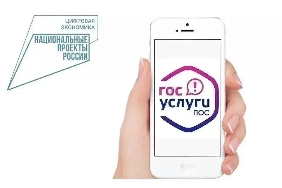 Что такое ПОС на Госуслугах — и как это работает?