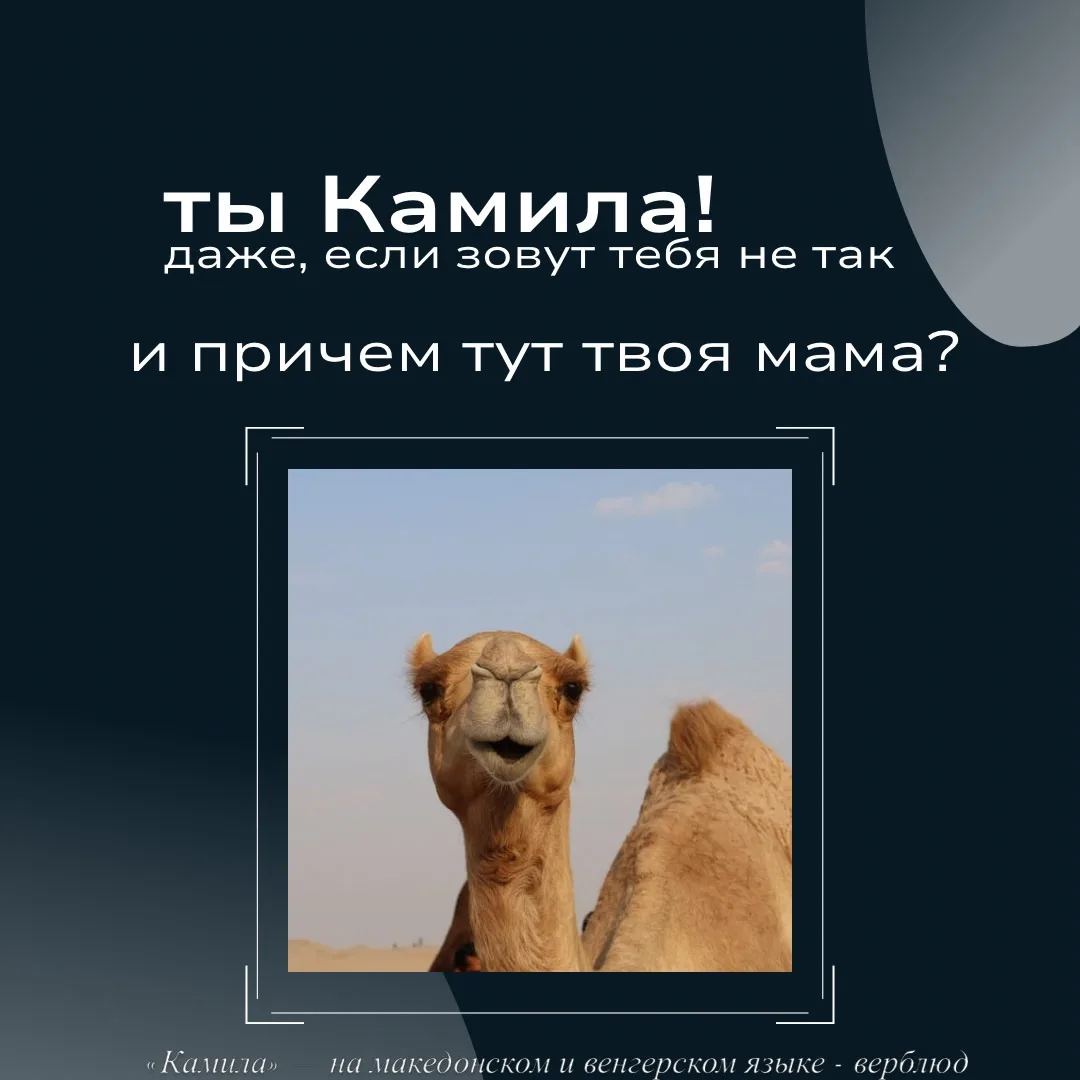 Как этот вонючий голос в голове связан с соцсетями, деньгами и жизнью? И как этот голос...