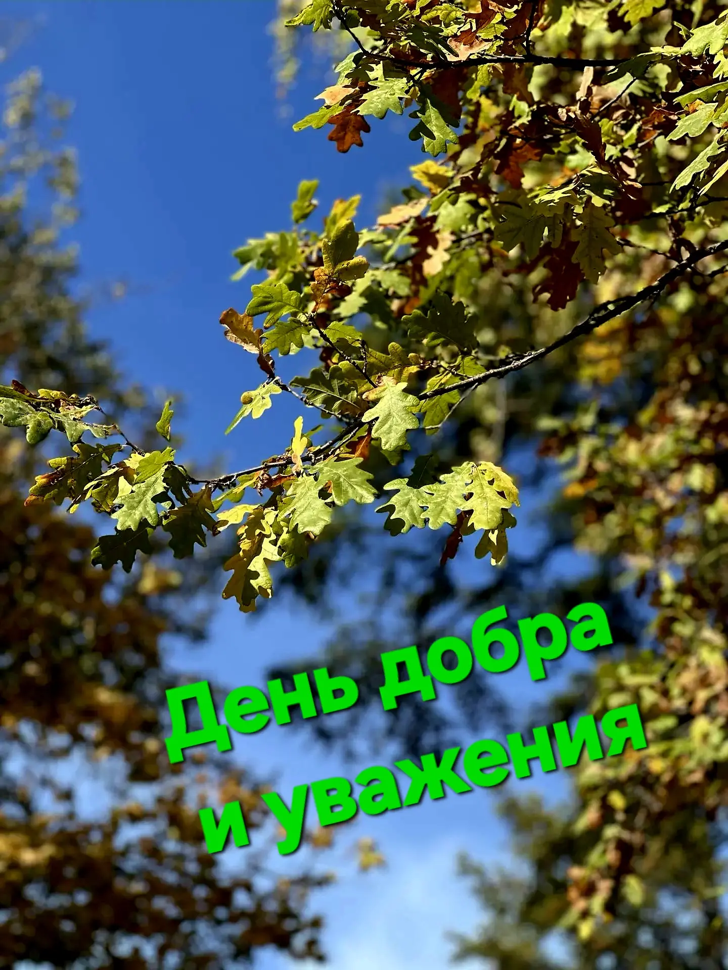 Приглашаем наших ветеранов учреждения 2 октября 2026г. к 14.00 часам в актовый зал адми...