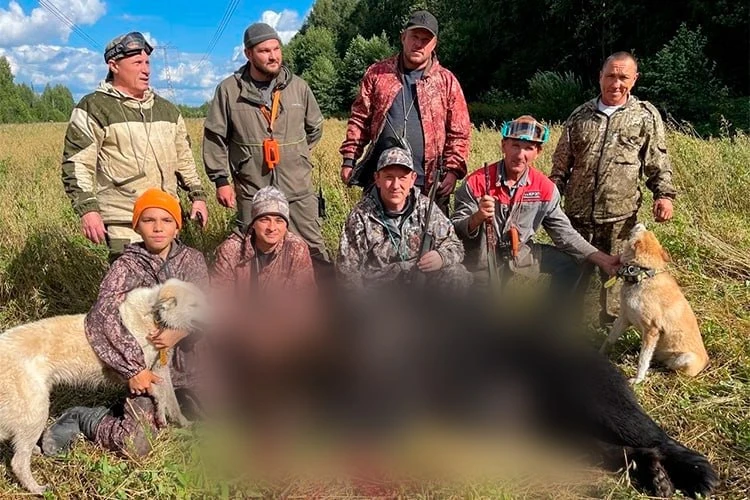 🐻 Первого за век медведя добыли в Татарстане