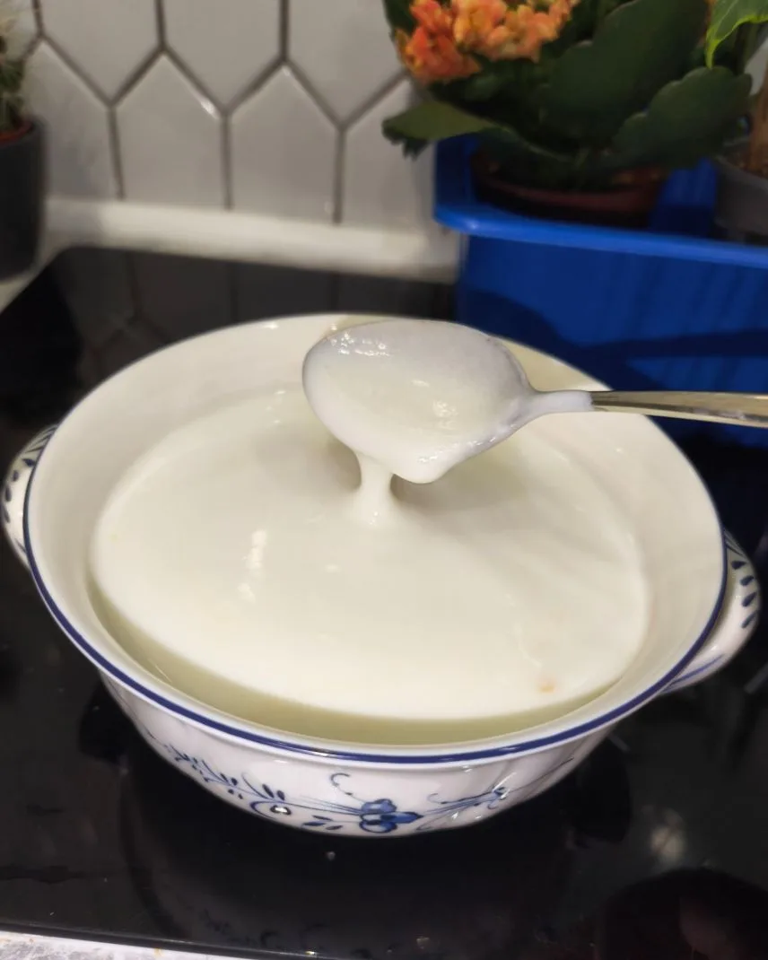ДОМАШНИЙ ЙОГУРТ 🥛
