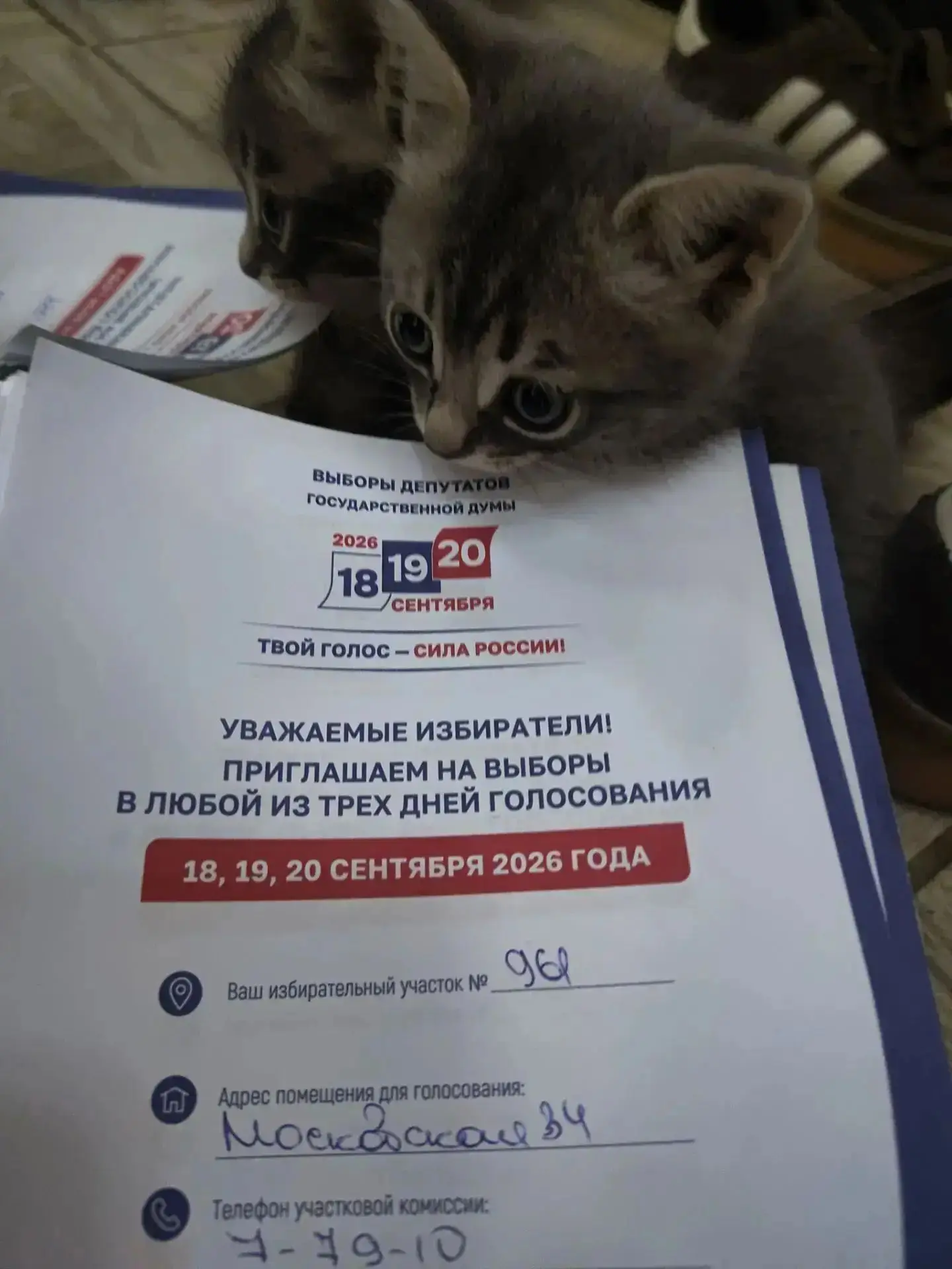 ❗ Даже на выходных наша работа не останавливается!