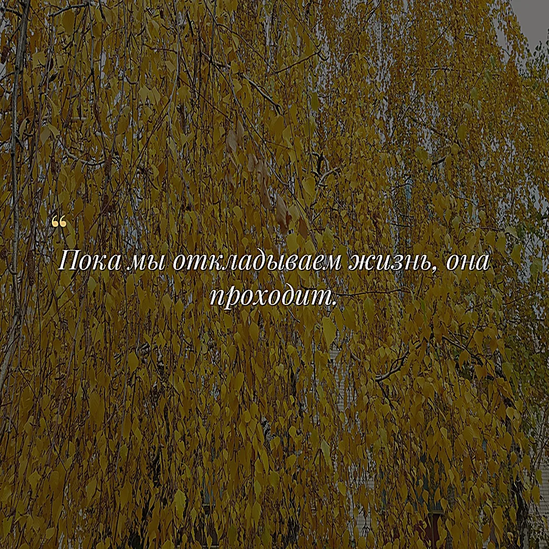 «Весь мир — театр. В нём женщины, мужчины — все актёры.»

SHAPO media · наши каналы