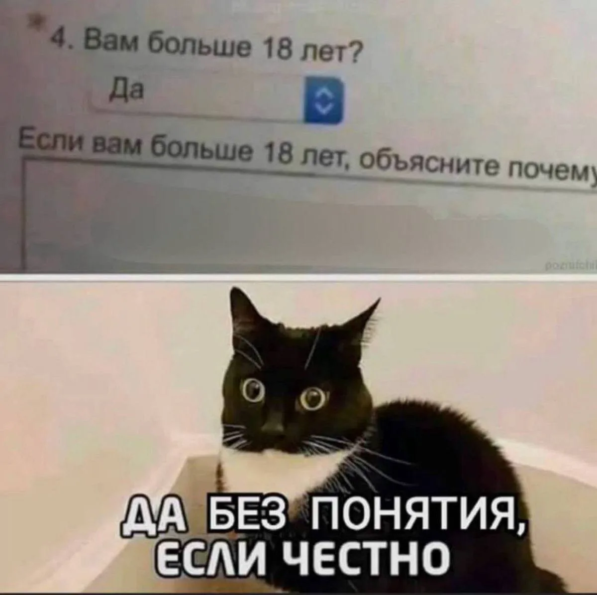Подпишись на юмор 😂