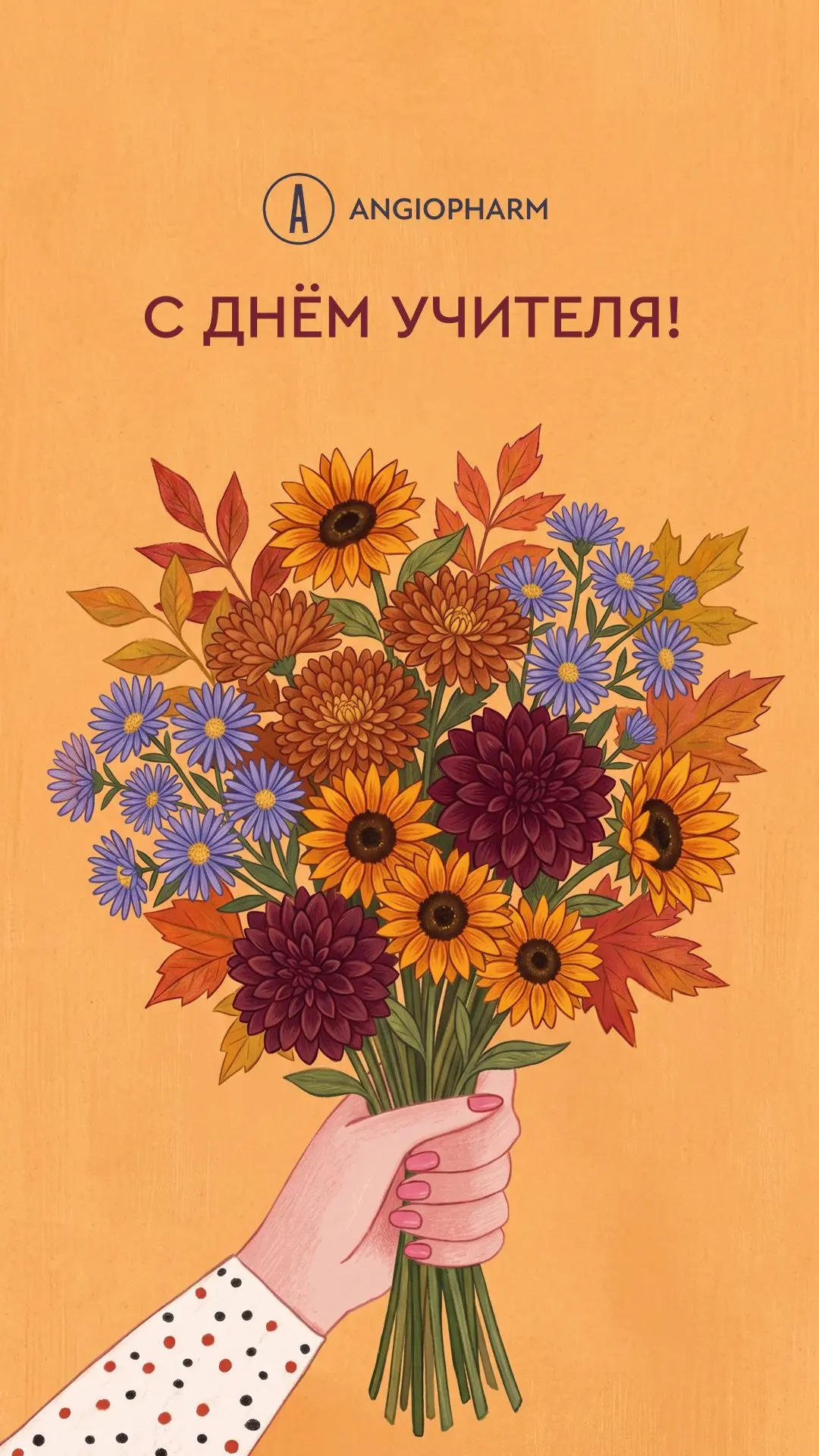 заказать