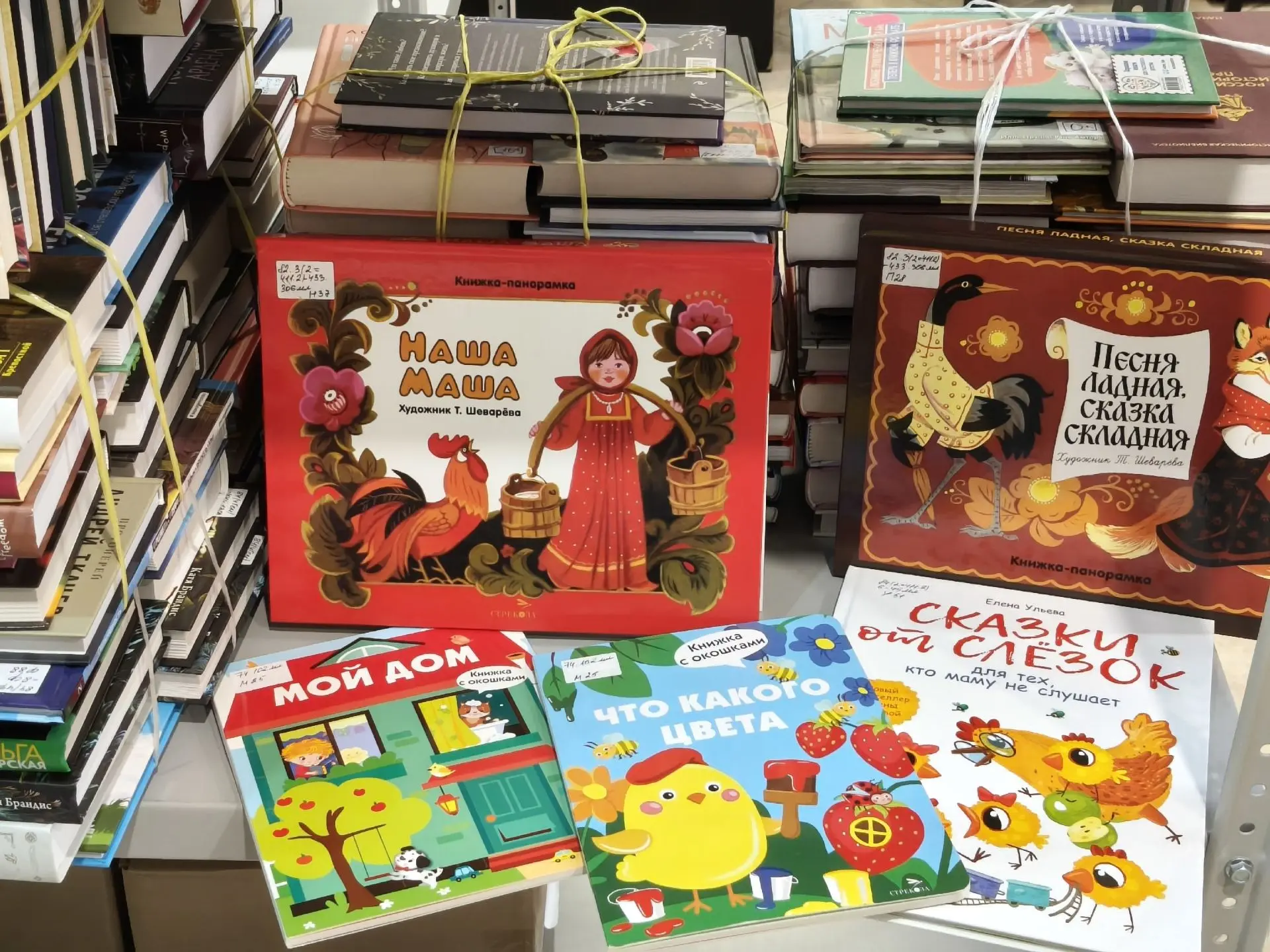 Сказки, энциклопедии и нестареющая классика. Книжный фонд районных библиотек пополнился...