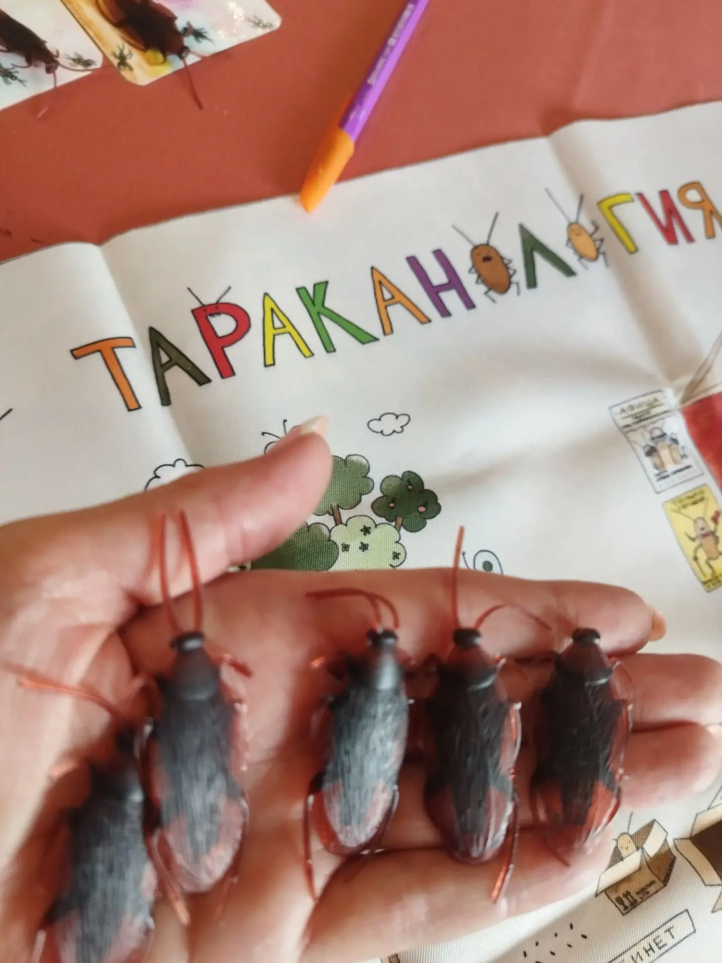 Тараканы! После того, что между нами было - нам надо познакомиться!