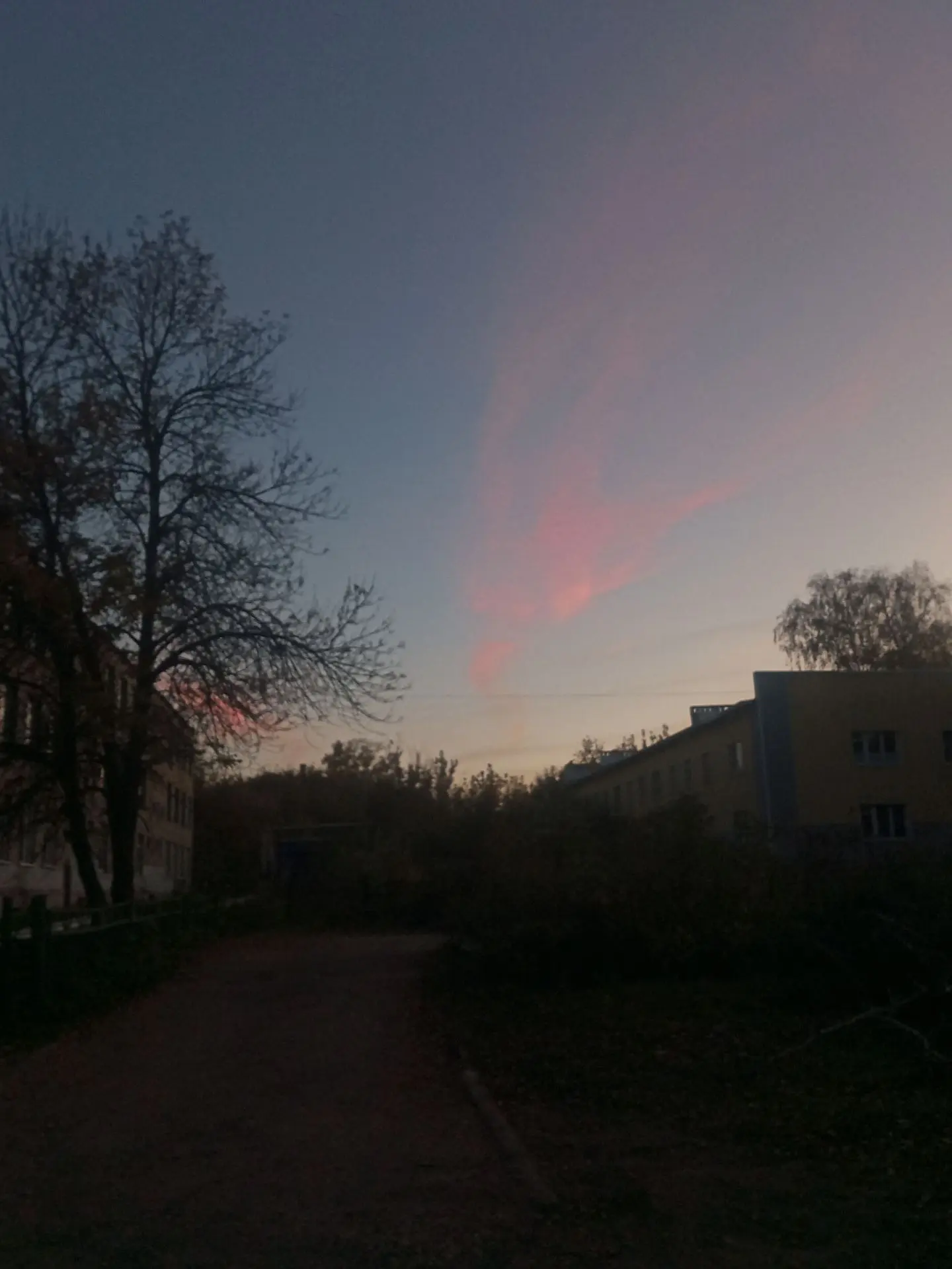 Всем спокойной ночи, покоя на душе и легкости в сердце❤