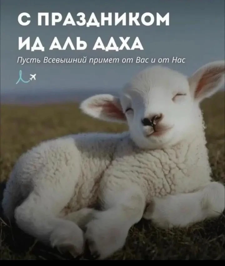С Праздником Курбан Байрам! Пусть все молитвы будут услышаны.
Пусть в каждом доме будет мир,спокойст