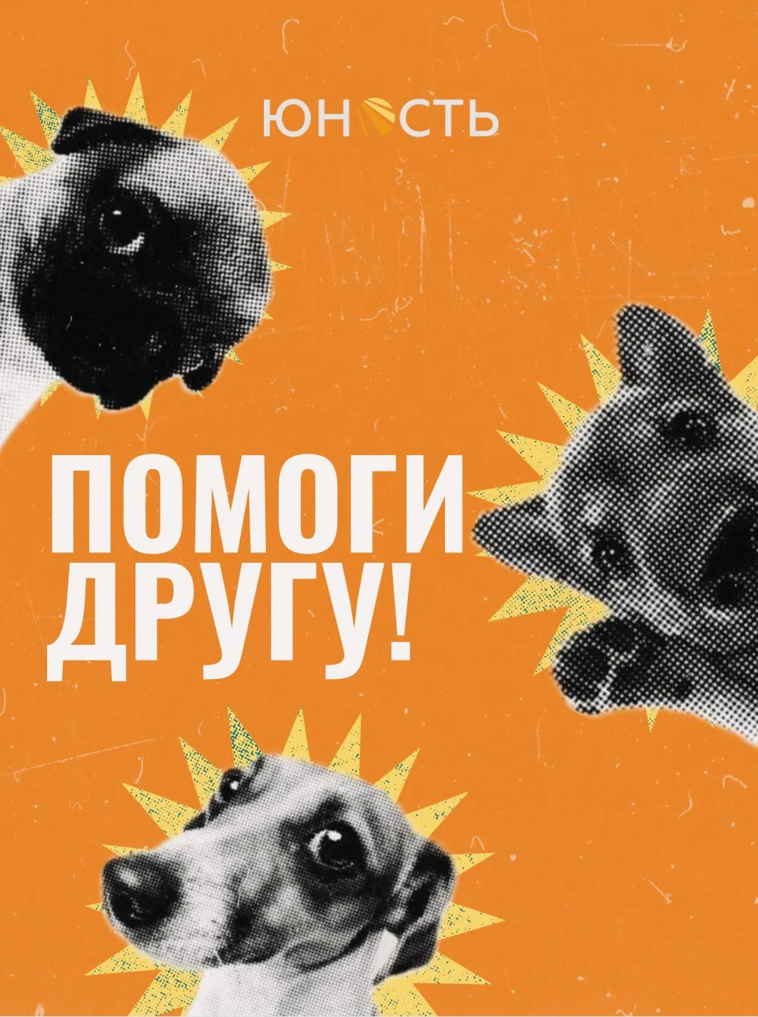 В преддверии Всемирного дня защиты животных, который отмечается 4 октября, Городской во...