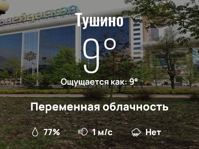 Что с погодой в Тушино?