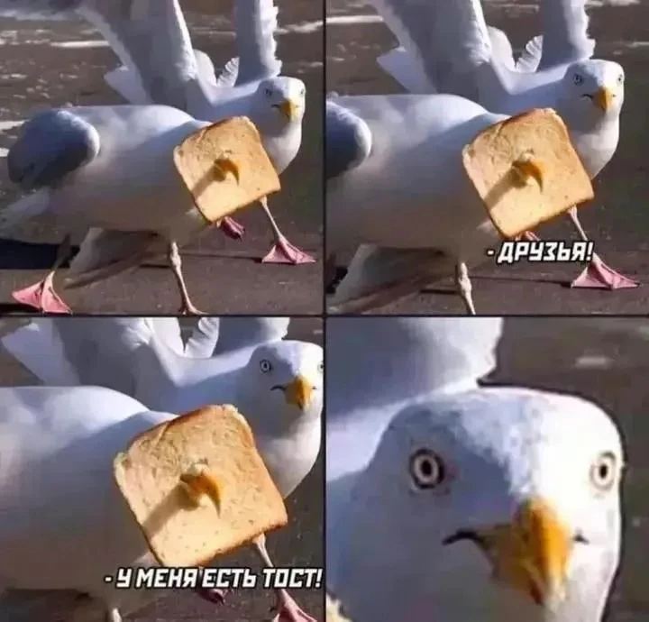 Почему мне это так смешно 😂